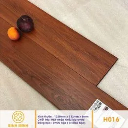 san-go-homestar-h-016