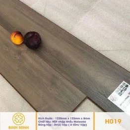 san-go-homestar-h-019