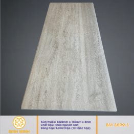 san-nhua-hem-khoa-BM 8099-3