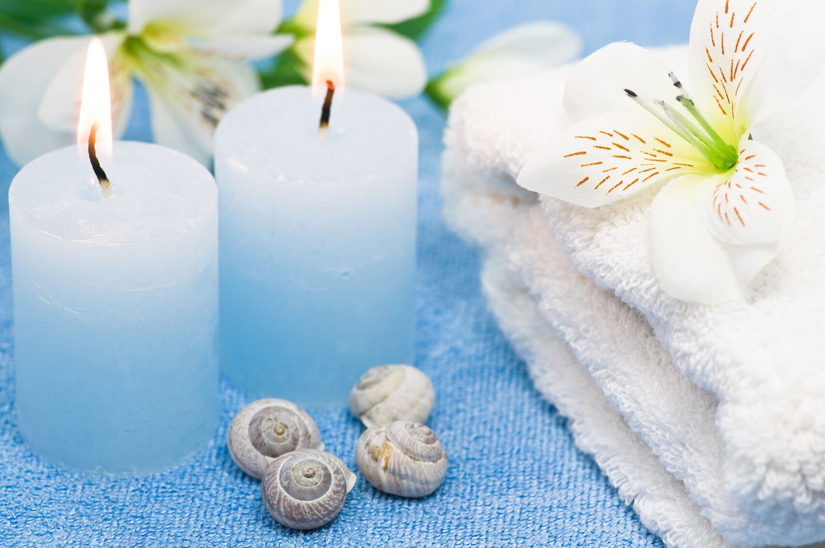 tranh-dan-tuong-spa-3720