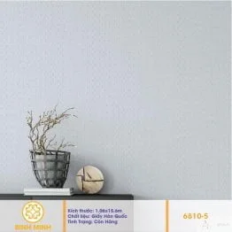 giay-dan-tuong-phong-khach-6810-5
