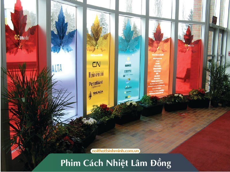 phim-cach-nhiet-lam-dong-07