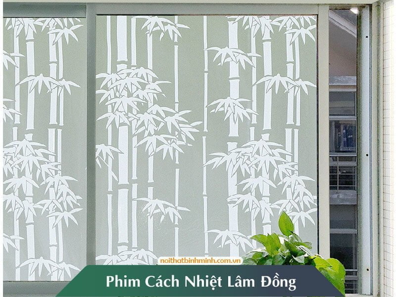 phim-cach-nhiet-lam-dong-11