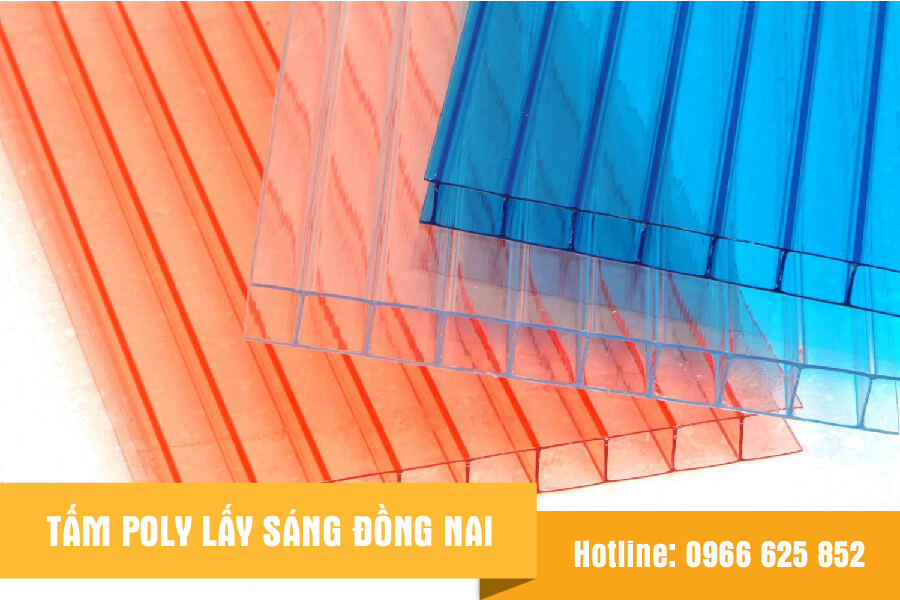 poly-lay-sang-dong-nai-01