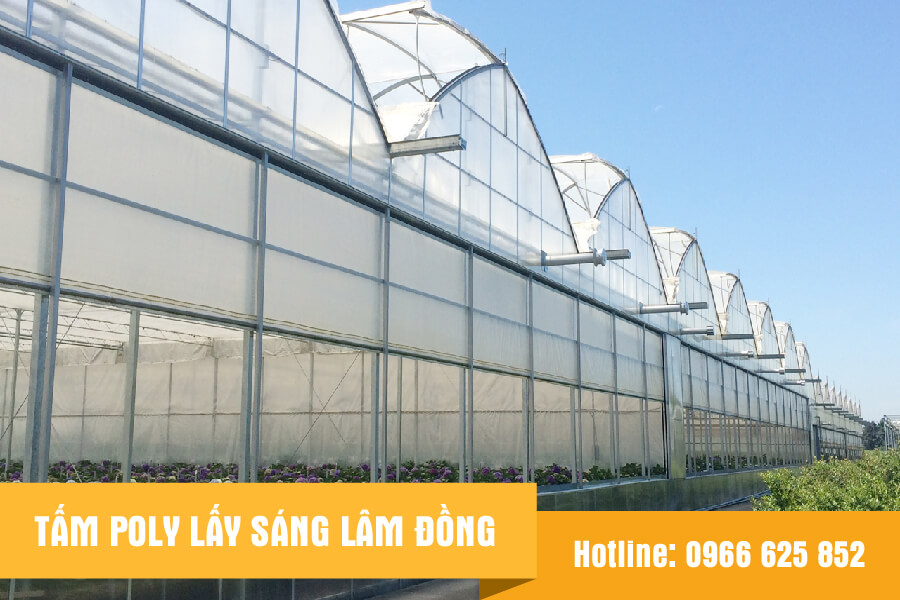 poly-lay-sang-lam-dong-03