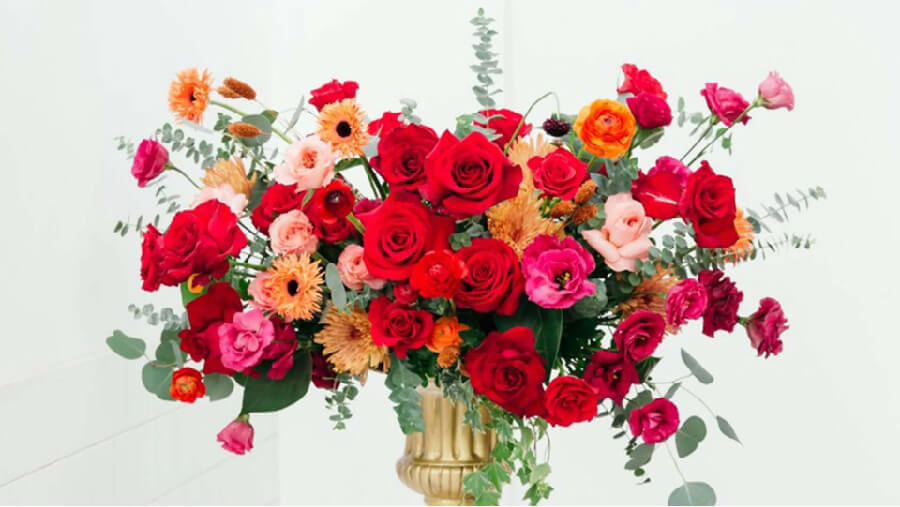 qua-tang-20-11-dep-15