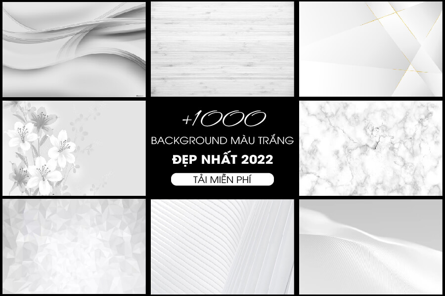 1000 Background trắng đẹp 2023| Tải background màu trắng