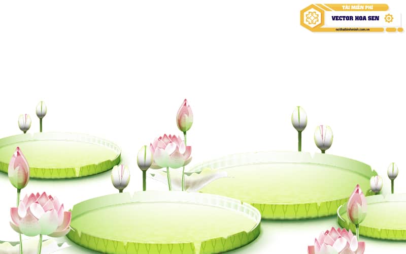 vector-hoa-sen-02