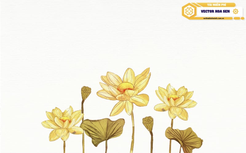 vector-hoa-sen-dep-06