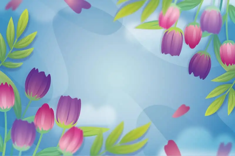 background-hoa-tulip-06