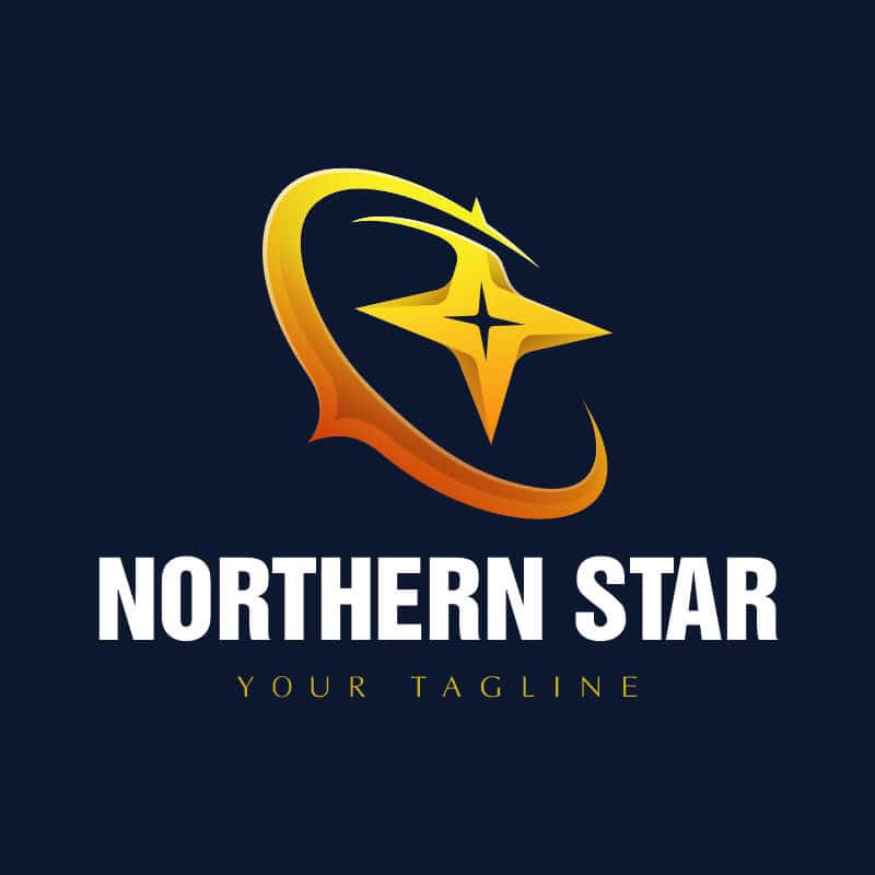 logo-ngoi-sao-vector-12