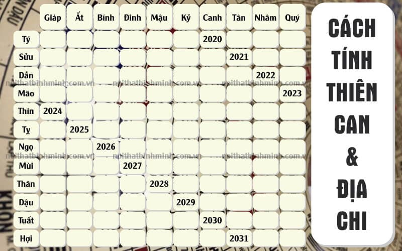 nam-2024-nam-con-gi-02