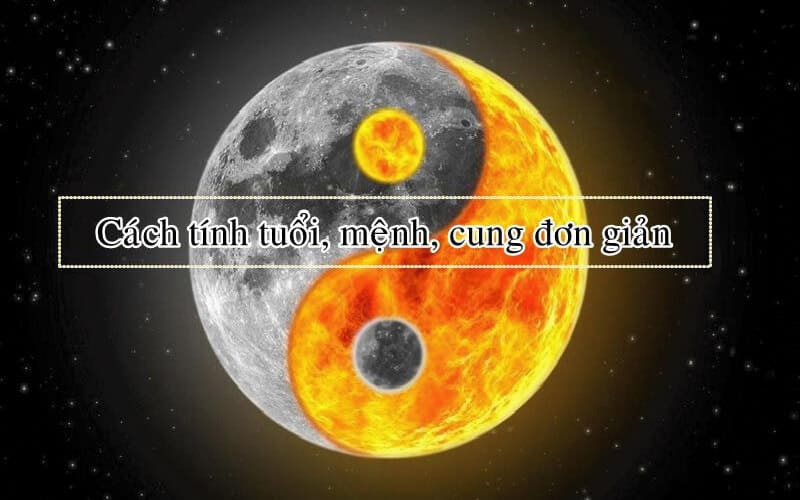 nam-2024-nam-con-gi-05