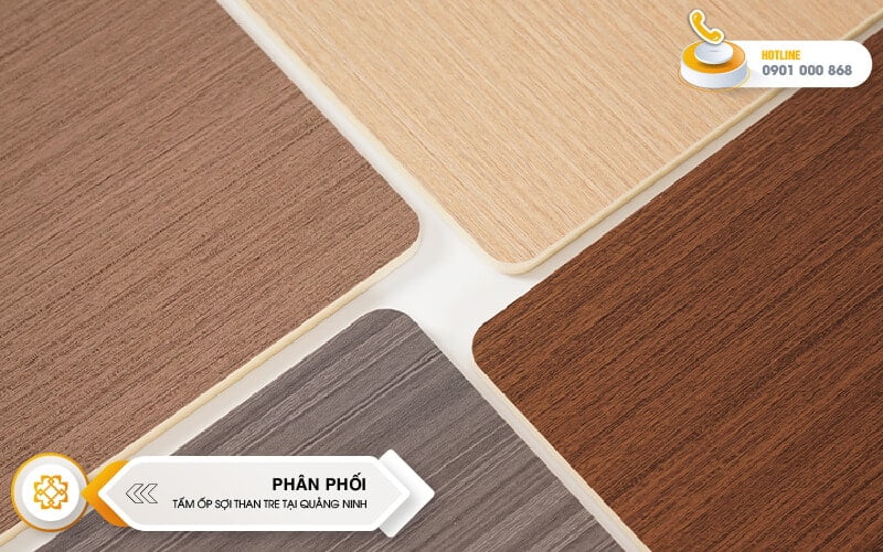 tam-op-soi-than-tre-quang-ninh-06