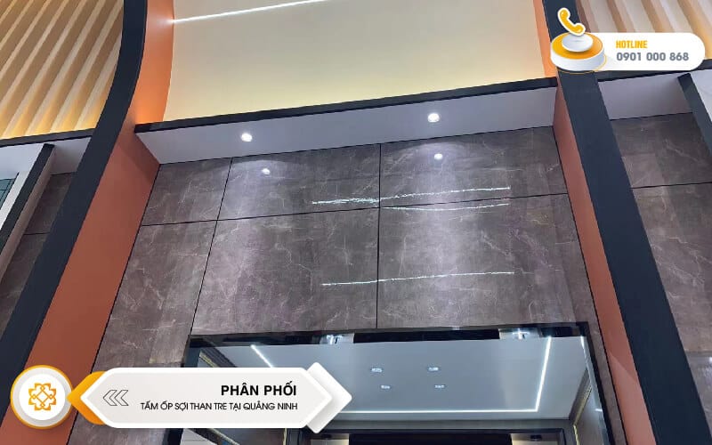 tam-op-soi-than-tre-quang-ninh-07