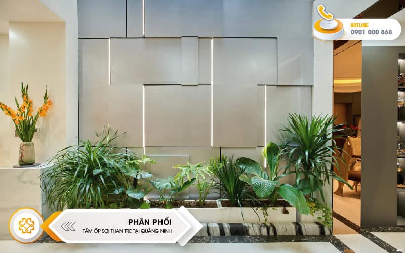 tam-op-soi-than-tre-quang-ninh-08