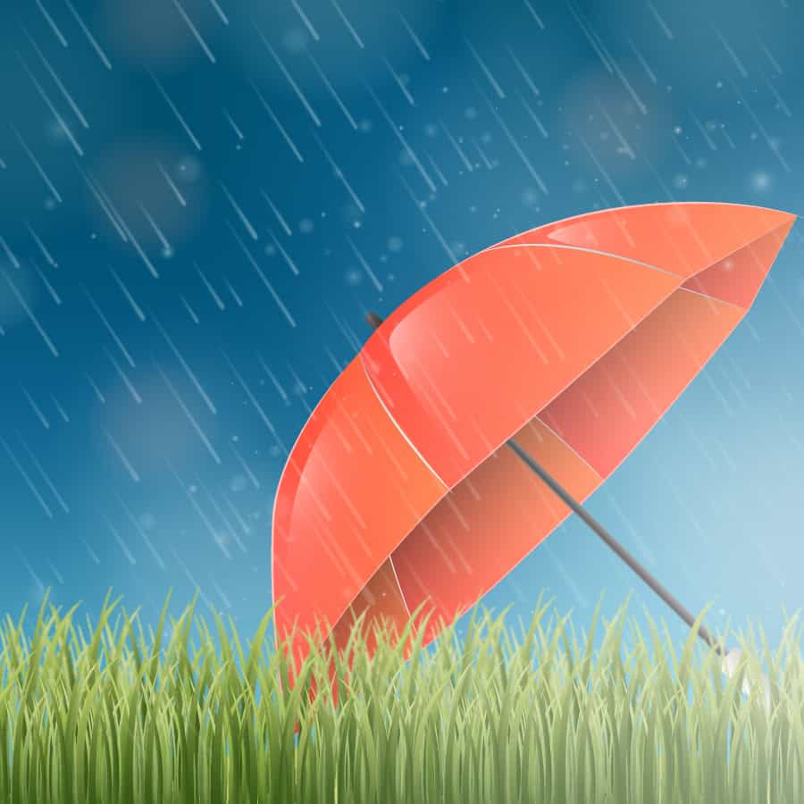 background-mua10-01