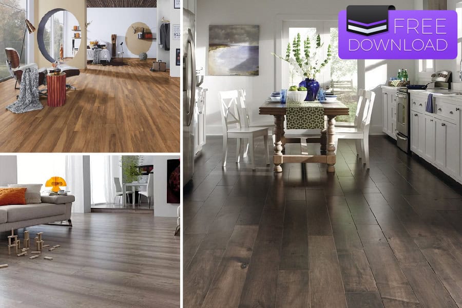 map-san-go-duc-vector-01