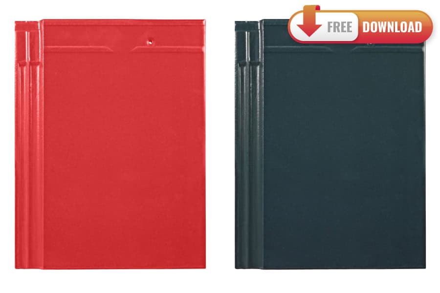 map-ngoi-trang-men-07