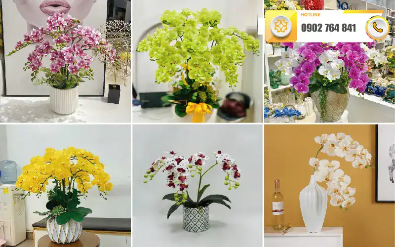 hoa lan giả tại đà nẵng