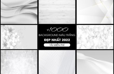 +1000 Background trắng đẹp 2022| Tải background màu trắng [Vector + Free].