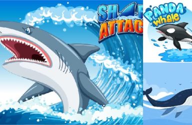 +999 hình ảnh con cá vector & PNG, tải miễn phí