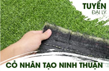 Phân phối cỏ nhân tạo, thảm cỏ sân vườn giá rẻ tại Ninh Thuận