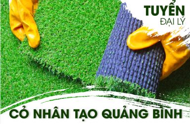 Công ty bán thảm cỏ nhân tạo chất lượng, giá rẻ tại Quảng Bình