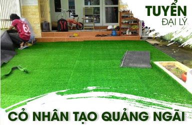 Mua cỏ nhân tạo, thảm cỏ sân vườn ở đâu Quảng Ngãi?