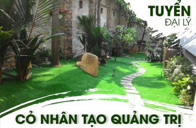 Đại lí cung cấp thảm cỏ nhân tạo cao cấp, giá rẻ tại Quảng Trị