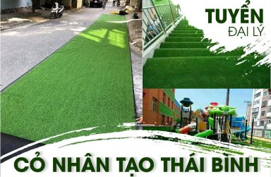 Đại lý phân phối cỏ nhân tạo chất lượng, giá rẻ tại Thái Bình