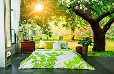 Bí kíp chọn giấy dán tường Đà Nẵng cho người mệnh Mộc